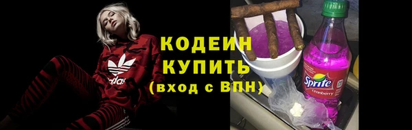 прущие грибы Волосово
