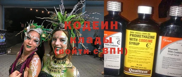 ПСИЛОЦИБИНОВЫЕ ГРИБЫ Сафоново