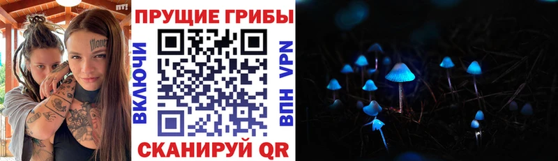 нарко площадка как зайти  закладка  Петушки  Галлюциногенные грибы Psilocybe 